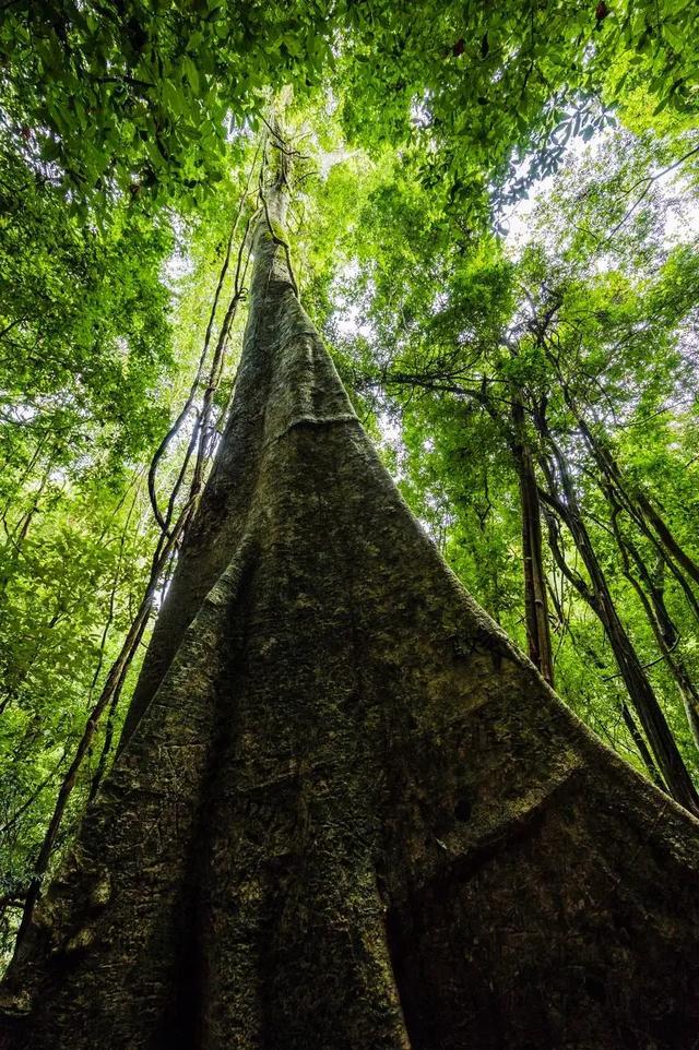 昆明至西双版纳高铁有哪些站点（昆明3h直达西双版纳）(17)