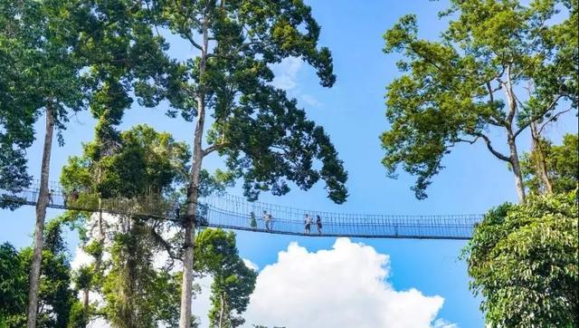 昆明至西双版纳高铁有哪些站点（昆明3h直达西双版纳）(15)