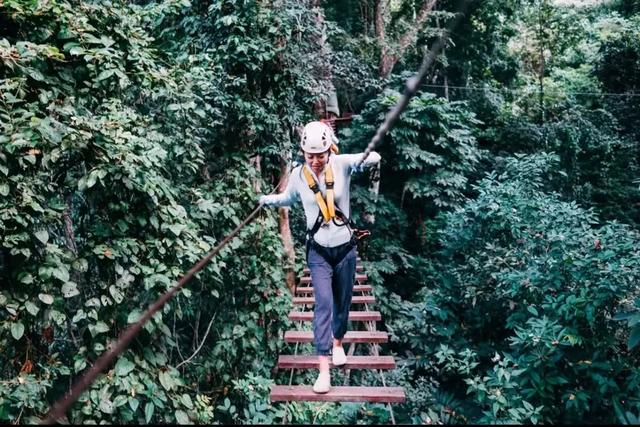 昆明至西双版纳高铁有哪些站点（昆明3h直达西双版纳）(16)