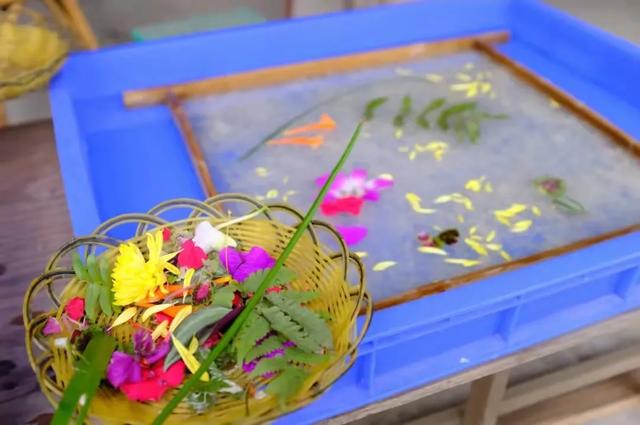 昆明至西双版纳高铁有哪些站点（昆明3h直达西双版纳）(37)