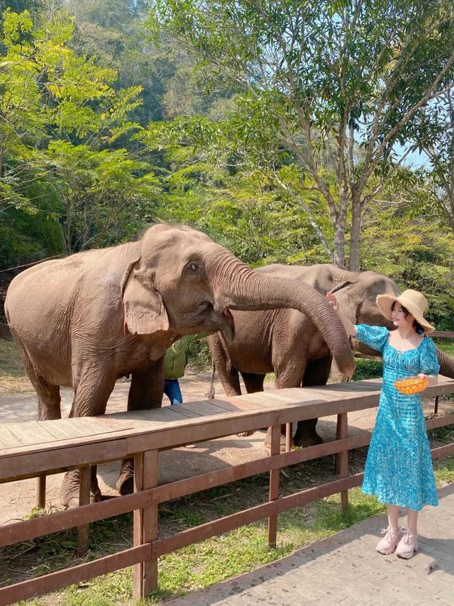 昆明至西双版纳高铁有哪些站点（昆明3h直达西双版纳）(22)