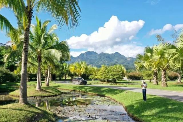 昆明至西双版纳高铁有哪些站点（昆明3h直达西双版纳）(8)