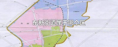 ​东新街道属于哪个区