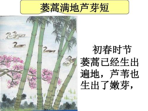 蒌蒿满地芦芽短的意思(蒌蒿满地芦芽短什么意思)
