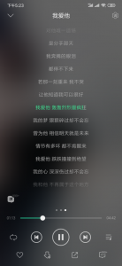 ​我爱他轰轰烈烈最疯狂是什么歌（我爱他歌词介绍）