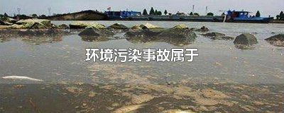 ​环境污染事故属于