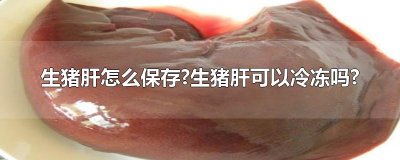 ​生猪肝怎么保存?生猪肝可以冷冻吗?