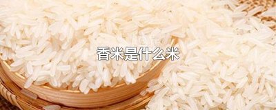 ​香米是什么米
