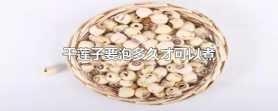 ​干莲子要泡多久才可以煮