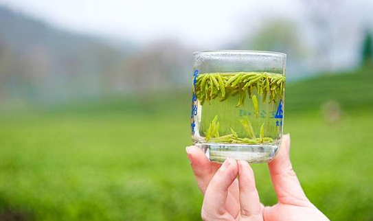 龙井每一泡时间,龙井怎么冲泡方法图8