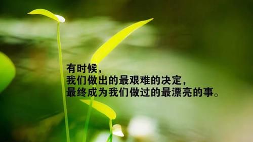 鼓励人的经典语句,句句激励人心!