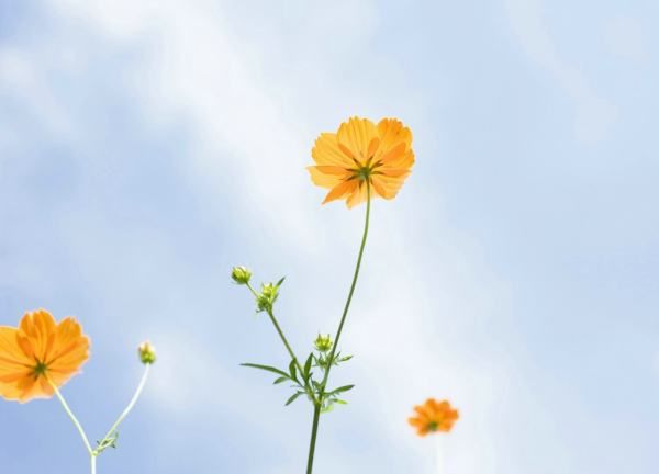 激励人心的句子,工作激励人心的句子正能量图4