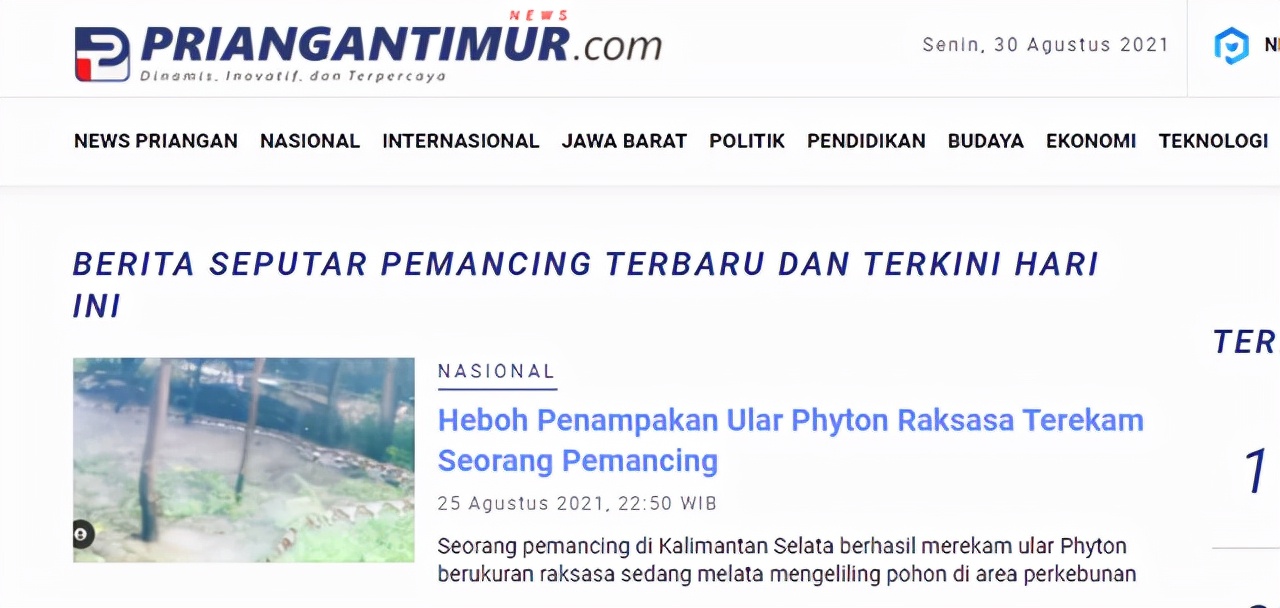 最大的蛇到底有多大？印度发现罕见巨蟒：调来挖掘机才将其捕获