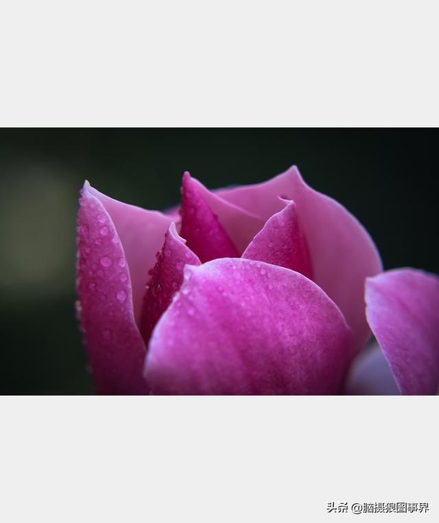 摄影后期背景虚化（对背景虚化有这6大作用）(21)