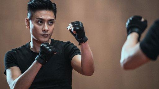 飞虎之雷霆极战一共有多少集（TVB电视剧飞虎之雷霆极战剧情介绍）(4)