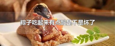 ​粽子酸了吃了会怎么样 粽子有酸味是坏了吗