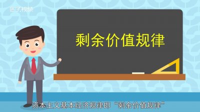 ​资本主义基本经济规律是什么