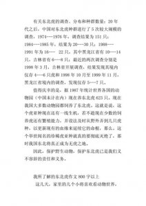 ​关于老虎的资料20个字