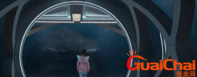 ​巨齿鲨1是哪一年上映的？剧情恐怖吗？