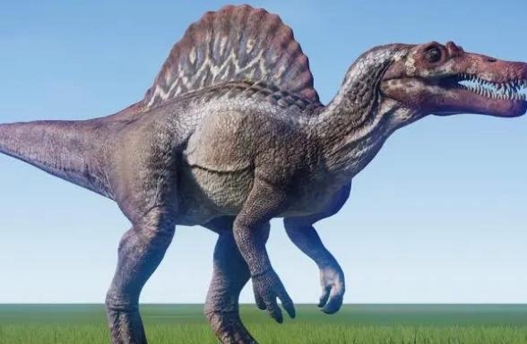 网络图片(侵删)