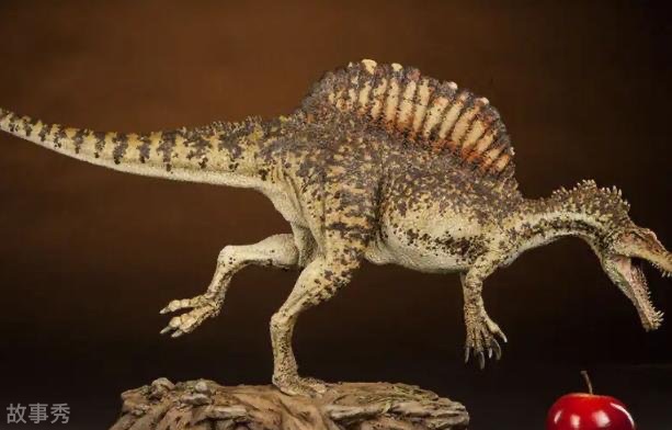 网络图片(侵删)