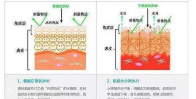 ​脸部敏感容易发红发热(脸上过敏发红发烫)