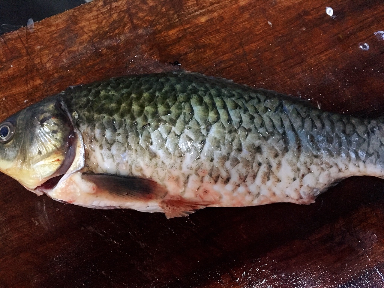 破壁机做鱼汤怎么做（手把手教你制作破壁机鱼汤）