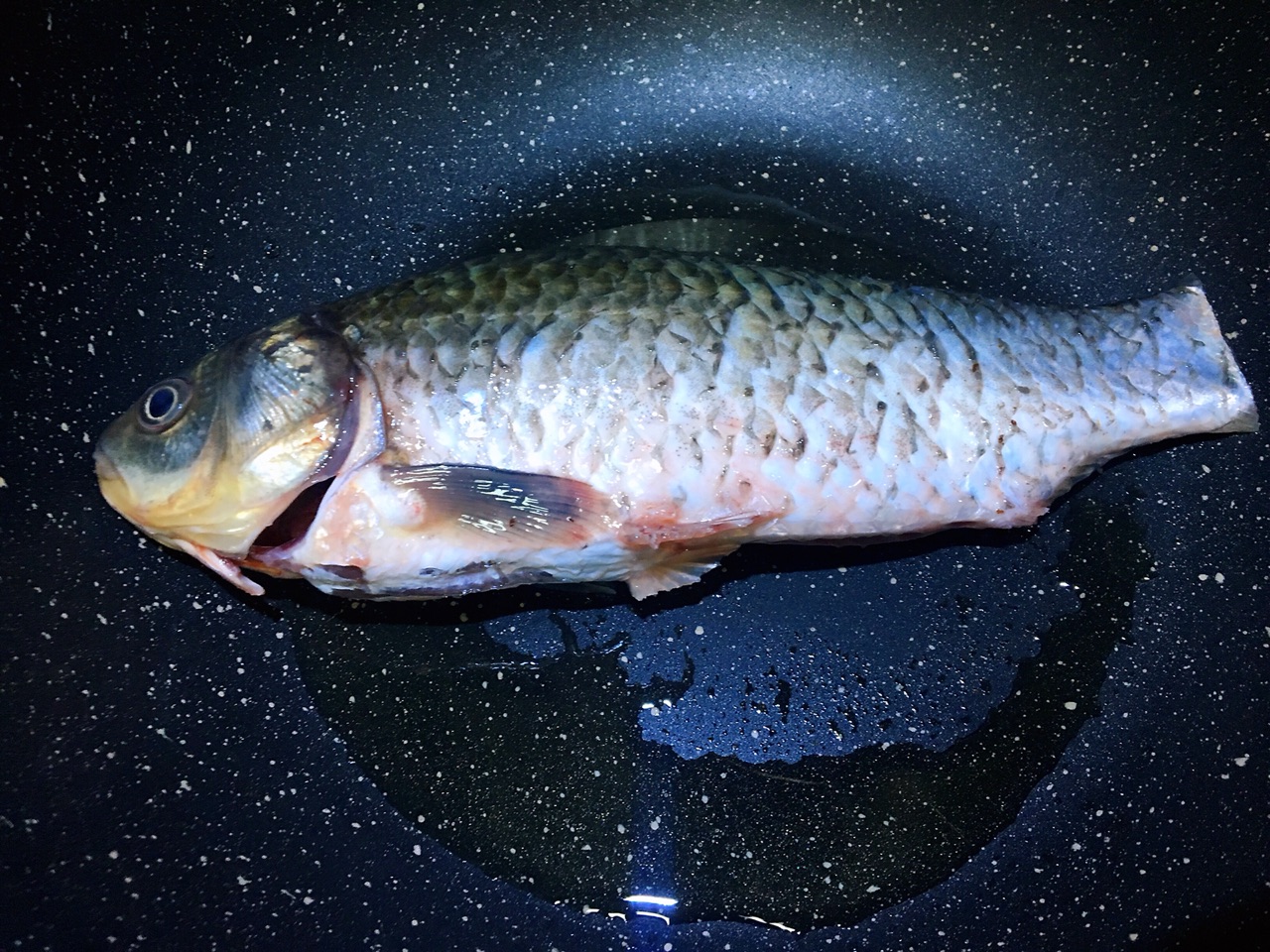 破壁机做鱼汤怎么做（手把手教你制作破壁机鱼汤）