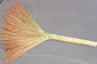 ​笤帚的意思和拼音(笤帚的意思和读音)