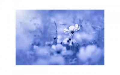 ​女朋友生气了送什么礼物好呢