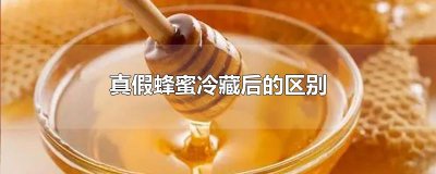​真假蜂蜜冷藏后的区别
