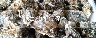 ​生蚝如何保存