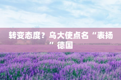 ​转变态度？乌大使点名“表扬”德国