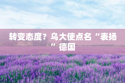 转变态度？乌大使点名“表扬”德国
