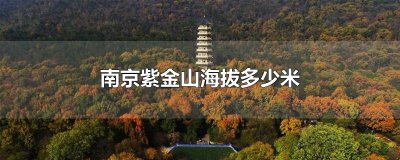 ​南京紫金山海拔多少米