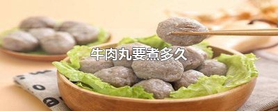 ​冻牛肉丸煮几分钟 急冻的牛肉丸煮多久
