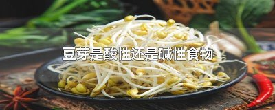 ​豆芽是酸性食物吗 小豆芽是酸性还是碱性