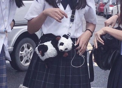 ​5米油松价格表（1.5米油松价格表）