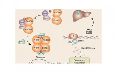 ​转阴几天后可以接触人（转阴几天后可以接触人朋）