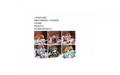 ​心理测试：你想把哪一棵摇钱树拿回家，测你何时才能发大财！