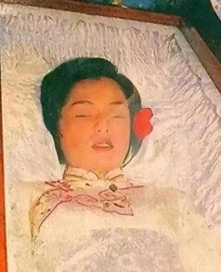 ​翁美玲与汤镇业：一段难忘的情感纠葛与未解之谜