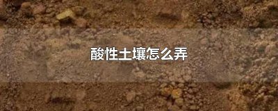 ​酸性土壤怎么弄