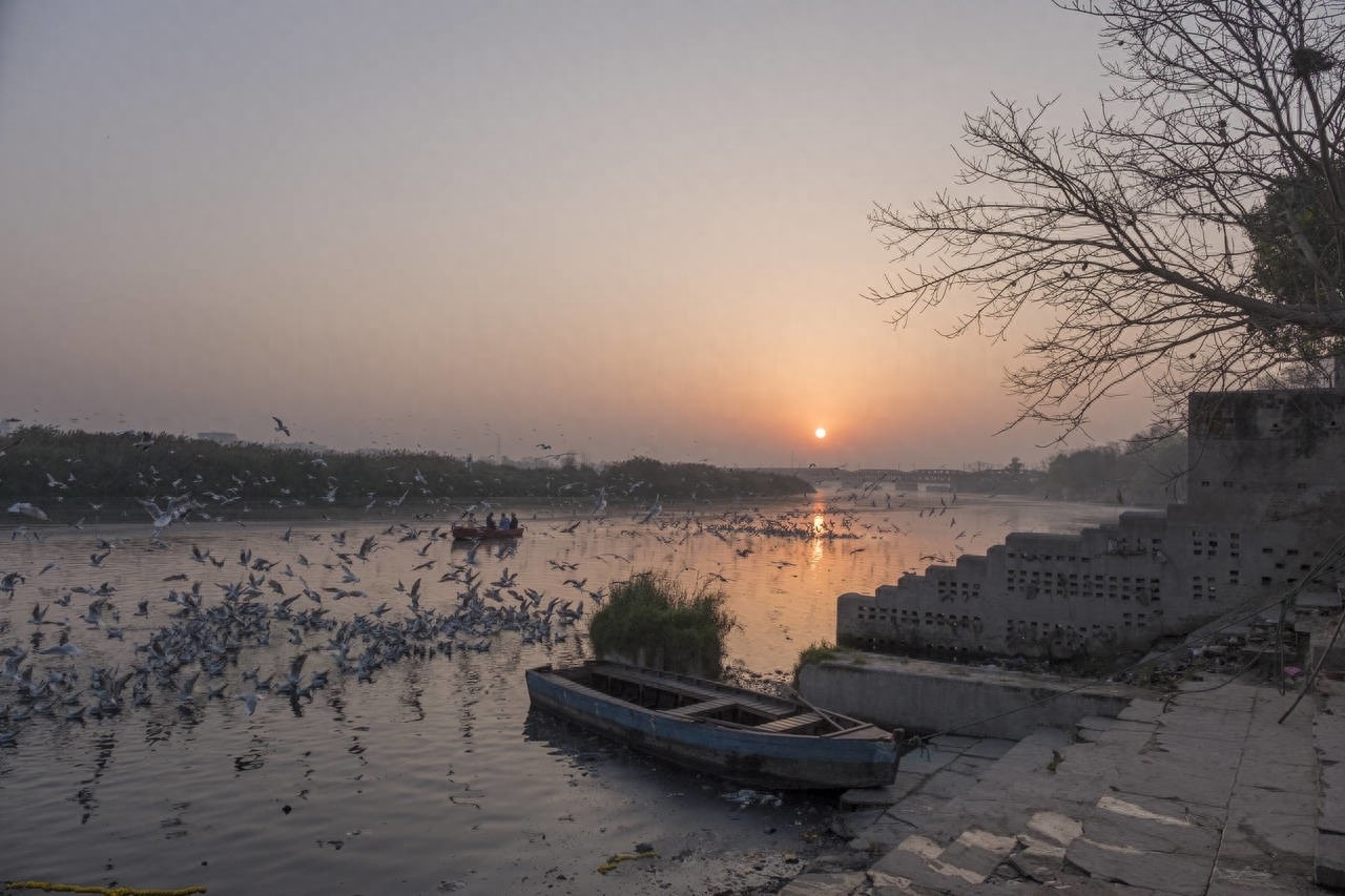 新德里（New Delhi）（印度）