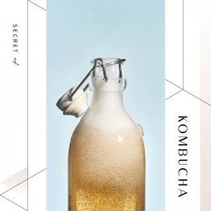 ​从中国到世界的发酵饮品——康普茶 (Kombucha)