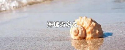 ​海螺煮多久