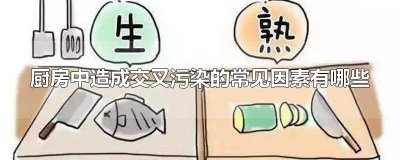 ​厨房中造成交叉污染的常见因素有哪些