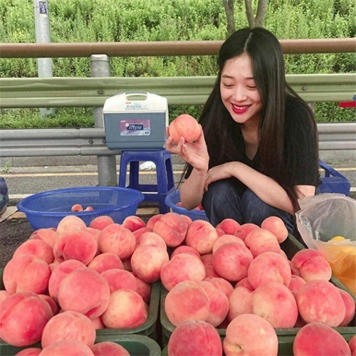 图集：永远的雪莉