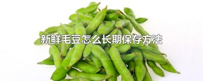 ​新鲜毛豆怎么长期保存方法