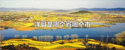 ​洋县是哪个省哪个市