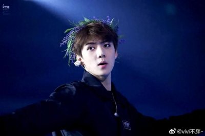 ​张艺兴、吴世勋惊喜现身朴灿烈演唱会，粉丝狂喜：梦幻终于来了！